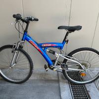 Bicicletta