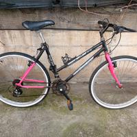 Bicicletta mountain bike