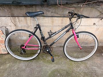 Bicicletta mountain bike