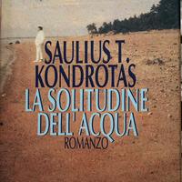 Un romanzo di Saulius T. Kondrotas