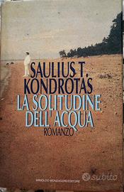 Un romanzo di Saulius T. Kondrotas