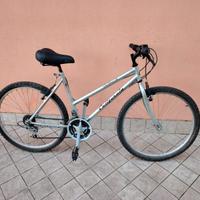 Bicicletta da 26 grigia con cambio 18 v meccanica