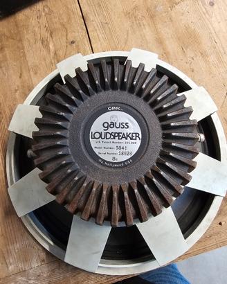 woofer cetec da riparare