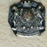 Medaglia SA VIDA PRO SA PATRIA