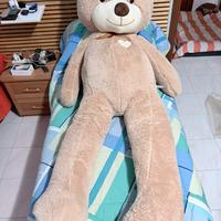 Orso 2 metri