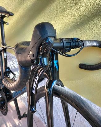 Giant TCR 