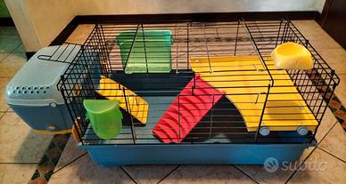 Gabbia coniglio mod. Easy Plus 80+n. 6 conf. Abete