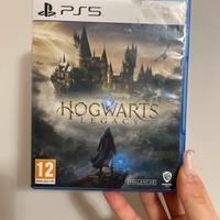Hogwarts legacy