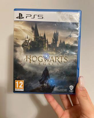Hogwarts legacy
