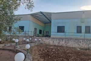 Vendiamo azienda agricola biologica