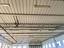 Immagine 10