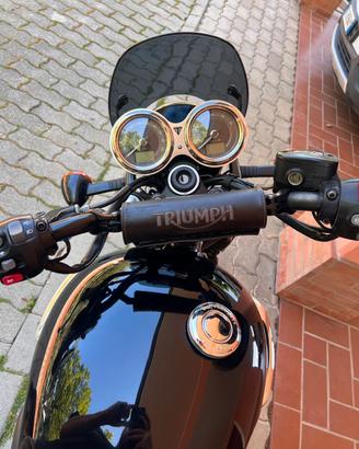 Paracolpi triumph marrone