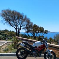 Ducati Monster 796+ - 2010