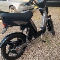 Bicicletta elettrica