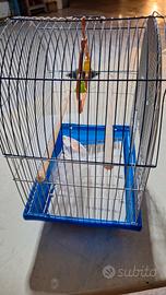 gabbia x uccellini canarini