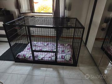 gabbia xxl cani