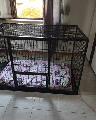 gabbia xxl cani