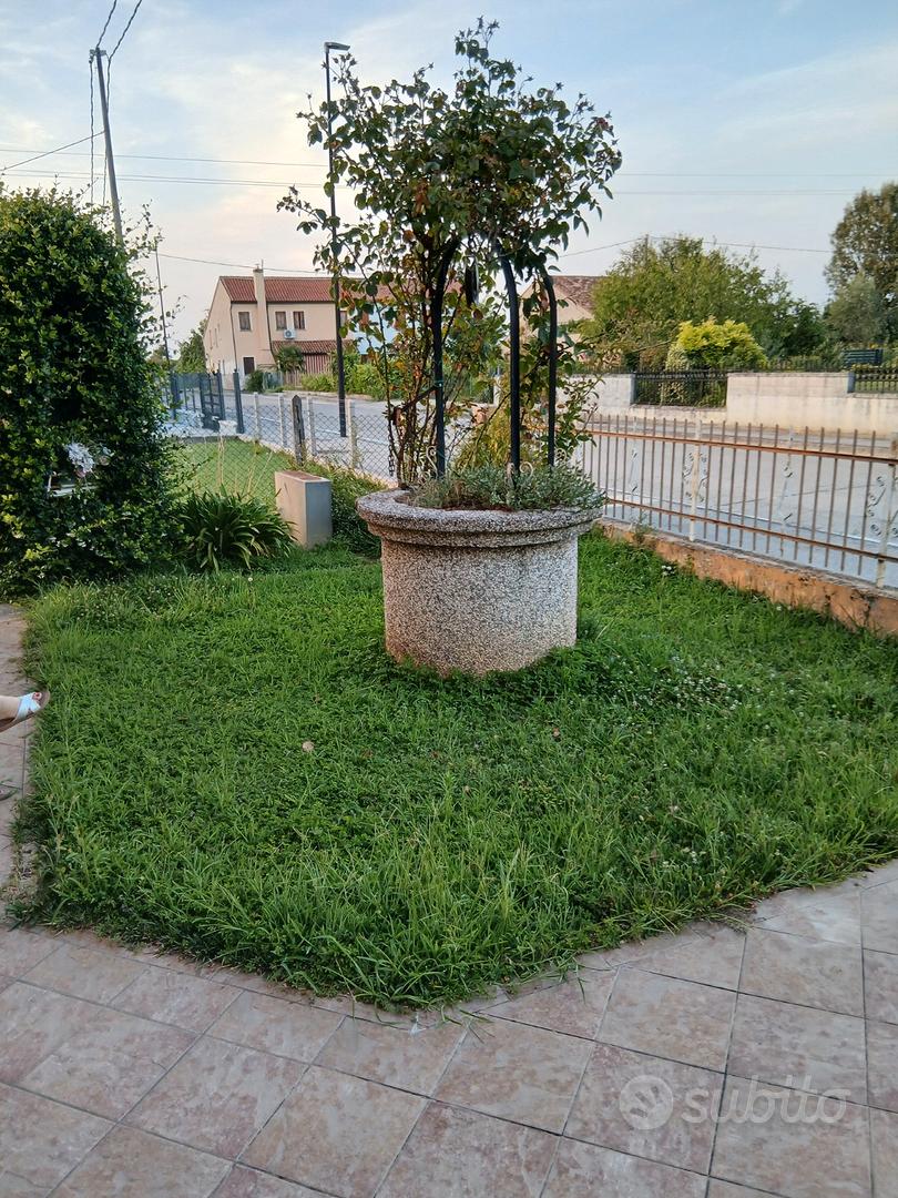 2 case, magazzino, piu' terreno - Vista 5