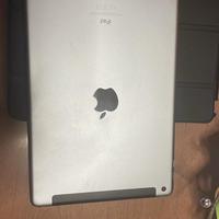 iPad Apple