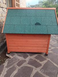  cuccia 