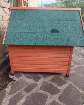  cuccia 
