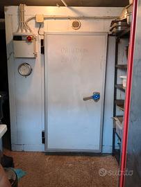 Cella Frigorifera Negativa Professionale (-20 °C)