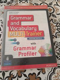 Grammar and vocabulary Multi-training