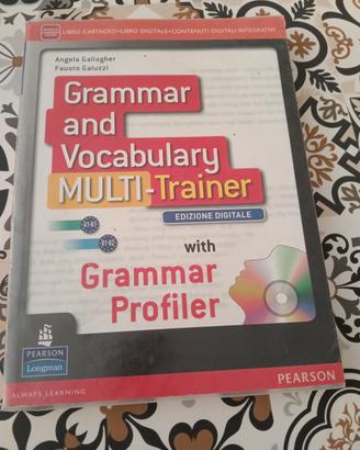 Grammar and vocabulary Multi-training