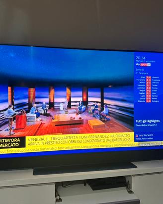 Schermo Tv Skyglass 65 pollici perfetto
