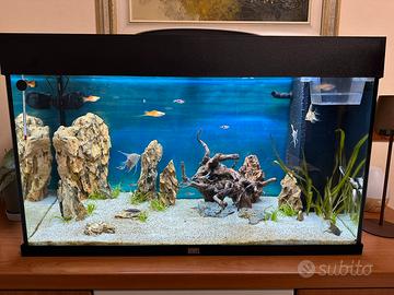 Acquario Juwel Rio 125