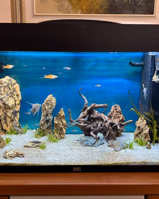 Acquario Juwel Rio 125