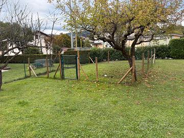 Recinzione cane