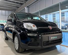 Fiat Panda PANDINA km 0 2024 SCHERMO DA 8''