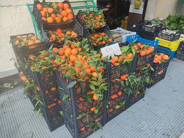Attività ortofrutticola