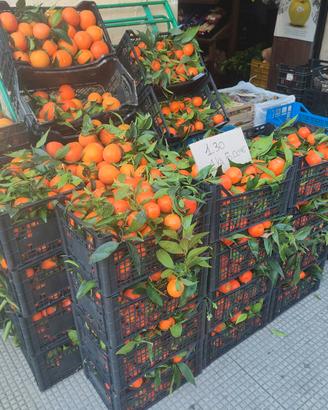 Attività ortofrutticola
