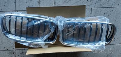 BMW GRIGLIA RADIATORE F31