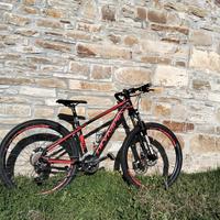 bicicletta 