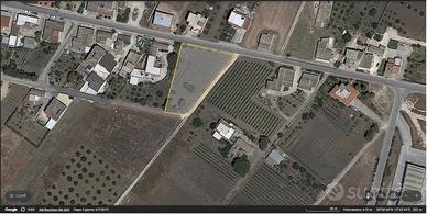 Terreno edificabile 2000 mq - Buseto Palizzolo