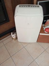 Condizionatore elettrolux portatile