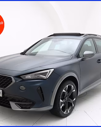 Cupra Formentor 2.0 TDI 4Drive DSG-TETTO APRIBILE