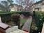 Immagine 12