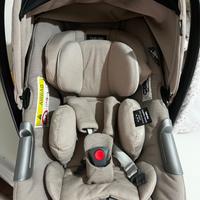 Trio inglesina aptica