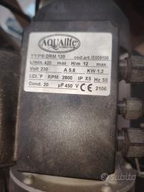 pompa d acqua centrifuga 