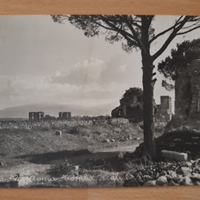 Cartolina d'epoca Appia antica Roma