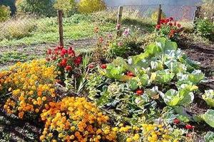 Terreno per orto uso domestico