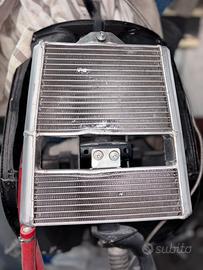 Radiatore Malossi zip