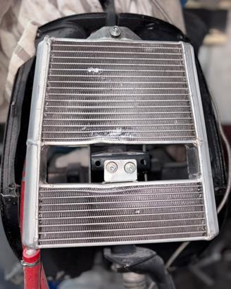 Radiatore Malossi zip