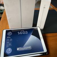 Apple IPad Air 3a gen. 256GB, WiFi, 10,9" Grigio
