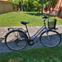 Bici da passeggio