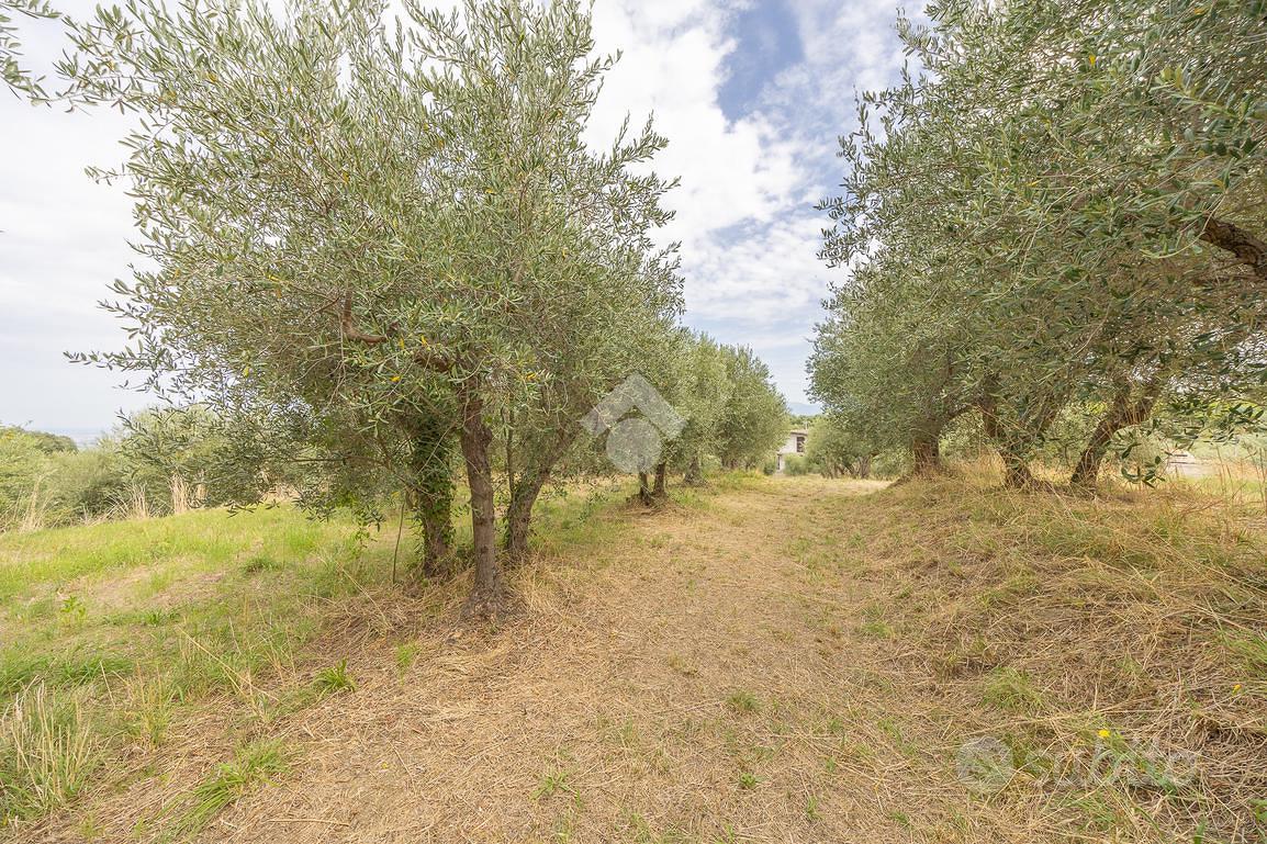 RUSTICO A MONTE PORZIO CATONE - Altro